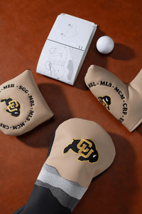 Mosaic gallery image